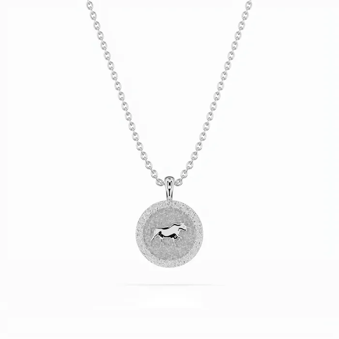 RG Necklaces 14k Zodiac Necklace